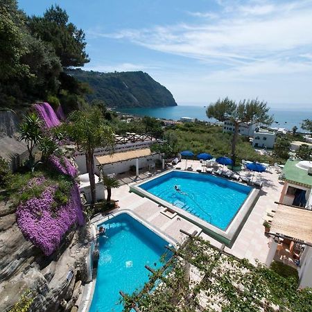 Hotel Villa Bianca Forio di Ischia Exteriér fotografie